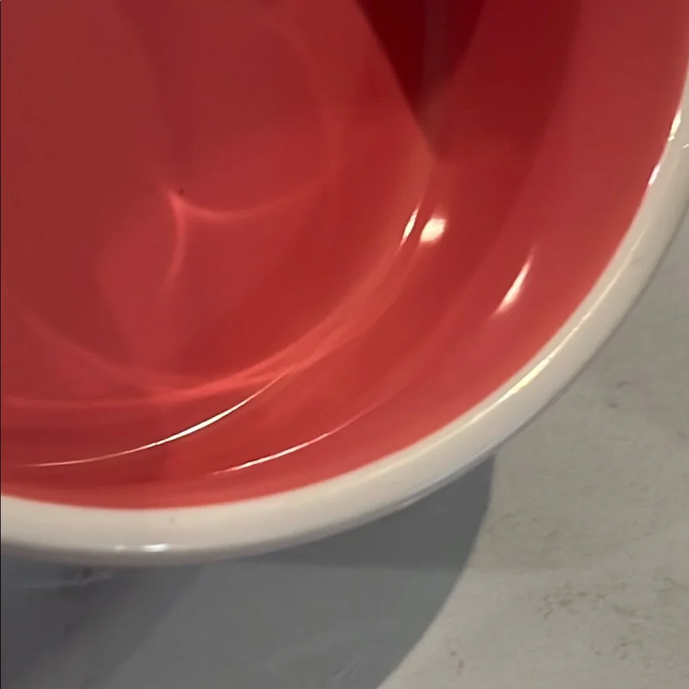 Rae Dunn Pink and White Dogfood Bowl or serving bowl